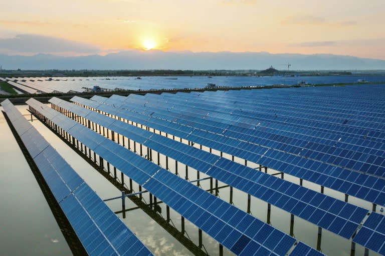 Unos paneles solares de una base de energía fotovoltaica en Yinchuan, en el noroeste de China, en una imagen del 9 de julio de 2024 (Stringer)