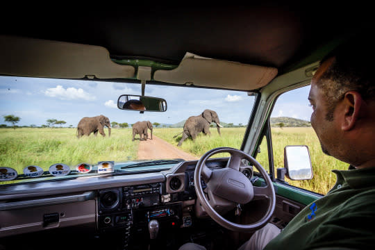 <p>A view from photographer Bobby-Jo Clow’s camera as they observe elephants crossing the road. (Bobby-Jo Clow/Caters News Agency) </p>