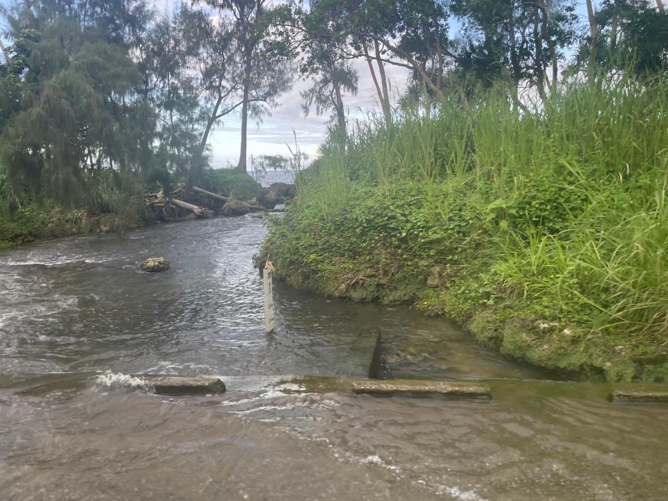 Flooding alongside cyclones and droughts have impacted Vanuatu's ability to cultivate crops