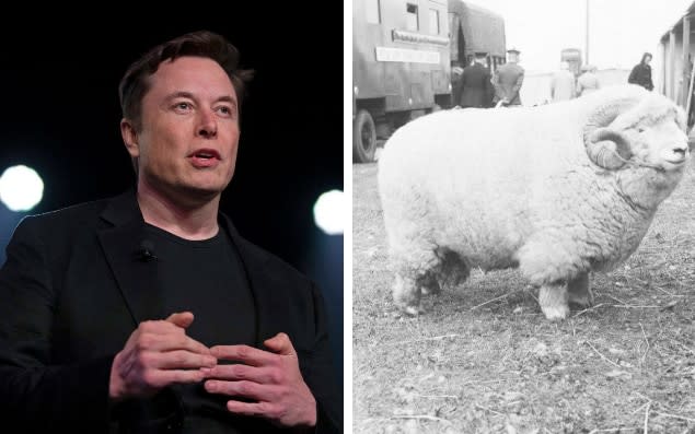 Elon Musk's Twitter activity is unusually high in jokes for an automotive CEO  - AP/Museum of English Rural Life