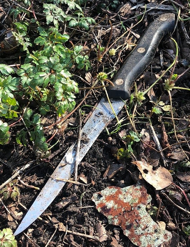 A knife found in undergrowth by police (Met Police)