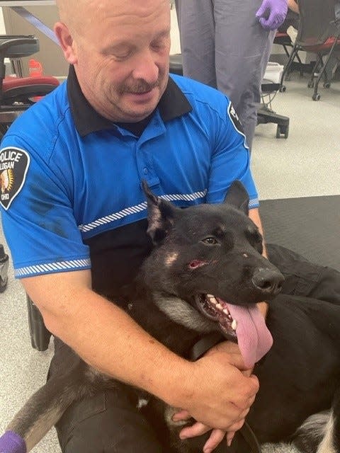 Logan Police K-9 officer Rambo, seen here with his handler Officer Devin Alford, is recovering at home after being shot during a standoff in Hocking County on Sunday evening. Rambo was shot in the face and airlifted to Ohio State University's Veterinary Medical Center.