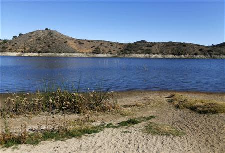 The receding water line of Lake Hodges is seen in San Diego County January 17, 2014. REUTERS/Mike Blake