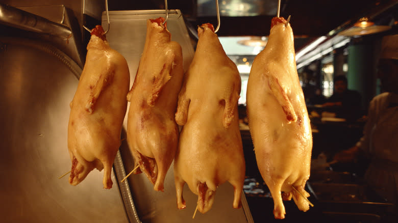 Ducks hanging to dry