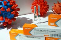 FILE PHOTO: Booth displaying coronavirus vaccine candidate from Sinovac Biotech Ltd in Beijing