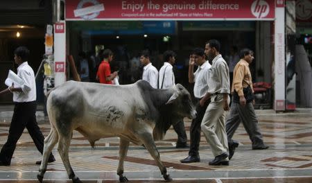 A cow passes a computer supermarket in New Delhi September 19, 2008. REUTERS/Desmond Boylan/Files