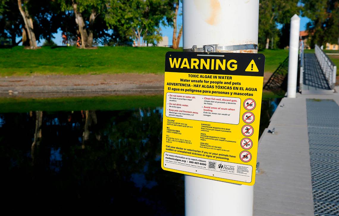The Benton Franklin Health District has posted numerous signs warning that people and their pets should stay out of the Columbia River as unsafe levels of toxic algae have been found in Richland and Pasco. Bob Brawdy/bbrawdy@tricityherald.com