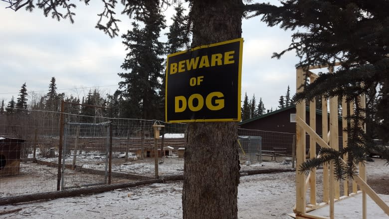 Yukon kennel owner says she euthanized 10 dogs to comply with court-ordered surrender