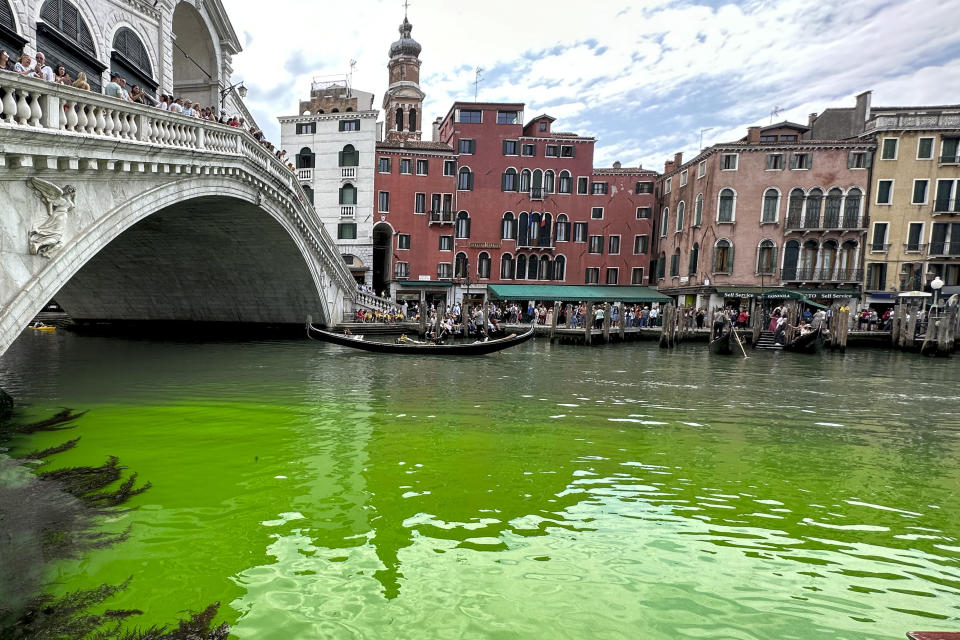 Gondolas navigate by the Rialto Bridge on Venice's historical Grand Canal as a patch of phosphorescent green liquid spreads in it, Sunday, May 28, 2023. The governor of the Veneto region, Luca Zaia, said that officials had requested the police to investigate to determine who was responsible, as environmental authorities were also testing the water. (AP Photo/Luigi Costantini)