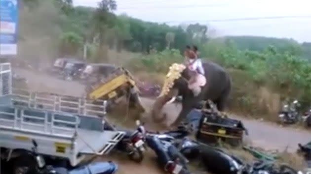 The elephant, known as Devidasan, must not have been happy when he decided to go on a rampage through a town in southern India. Photo: YouTube