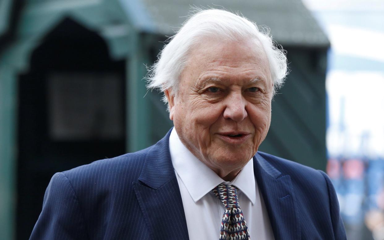 Sir David Attenborough has had a string of animals named after him - REUTERS