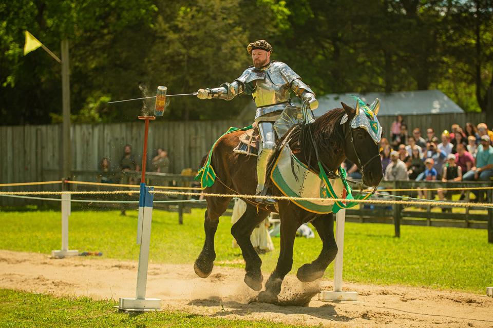 Images from the Tennessee Renaissance Festival last year in Williamson County.