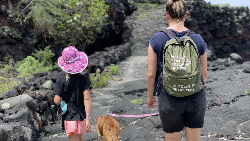 Taking a shelter dog on a field trip in Hawaii.