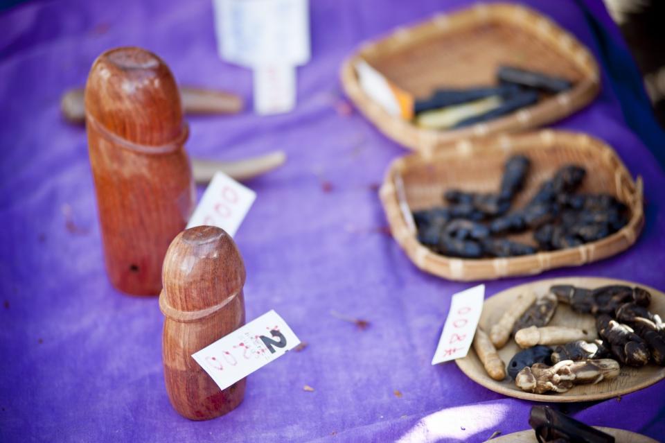 Festival of the Steel Phallus