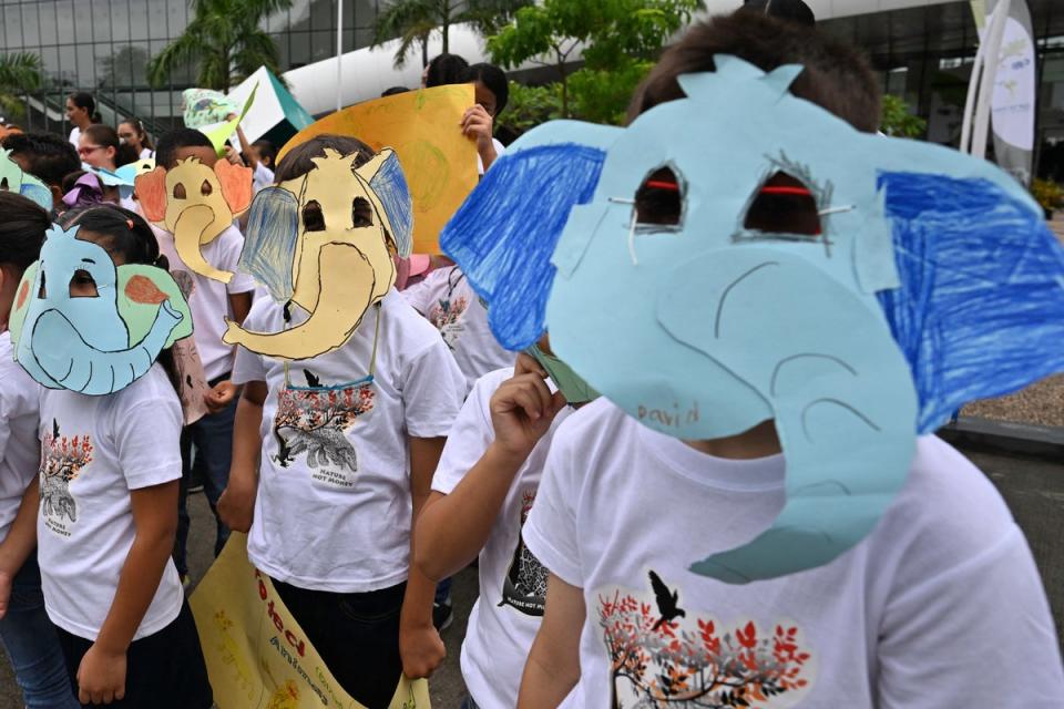 Students wearing animal masks protest during the opening day of the World Wildlife Conference, Cites Cop19, in Panama City (AFP via Getty Images)