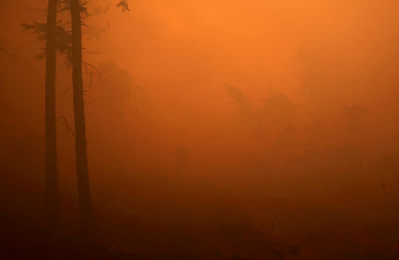 FILE PHOTO: A firefighter works to extinguish a forest fire in Yakutia