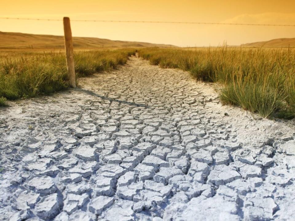 While the fall was warm and dry in Saskatchewan, Environment Canada is forecasting below normal temperatures and above normal precipitation for the next three months. (Richard Agecoutay/CBC News - image credit)