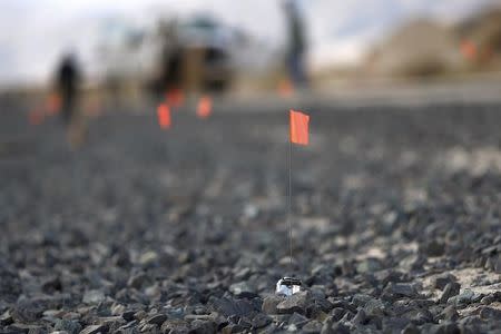Orange flags mark small pieces of wreckage along a railroad track from the crash of Virgin Galactic's SpaceShipTwo near Cantil, California November 1, 2014. REUTERS/David McNew