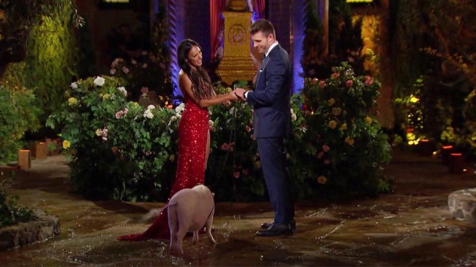 Mercedes Northup introduces her pig to Zach Shallcross