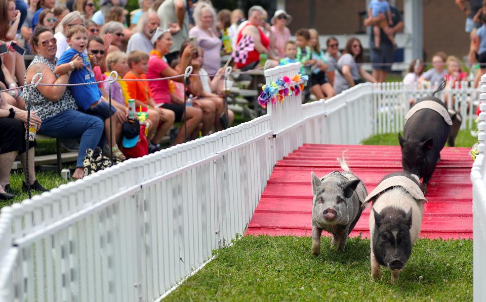 Spectators cheer as they watch Chase's Racing Pigs put on a show at the 2022 Summit County Fair in Tallmadge.