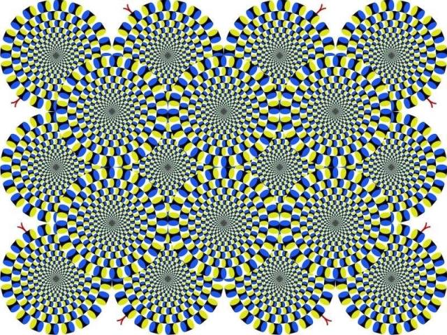 Can you use Optical Illusion for eyesight improvement? - Centre