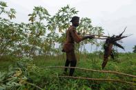 A farmer holds harvested cassava on a farm in Oyo