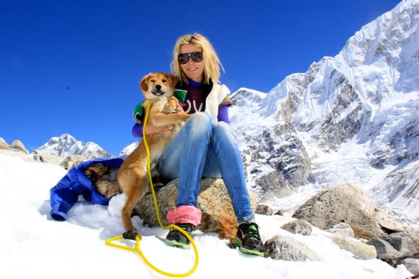 First dog climbs Mount Everest