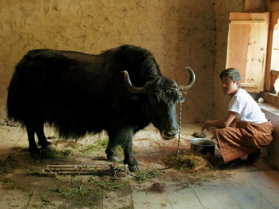 Pawo Choyning Dorji’s Oscar-nominated film ‘Lunana: A Yak in the Classroom’ (Samuel Goldwyn Films)