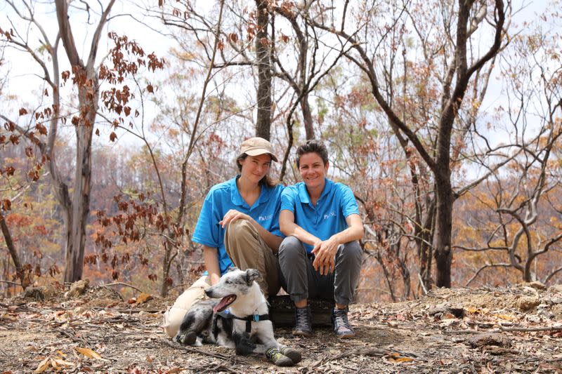 Bear the Dog and his handlers Professor Celine Frere and Doctor Romane Cristescu of Researchers Associate pose for a photo in Kandanga