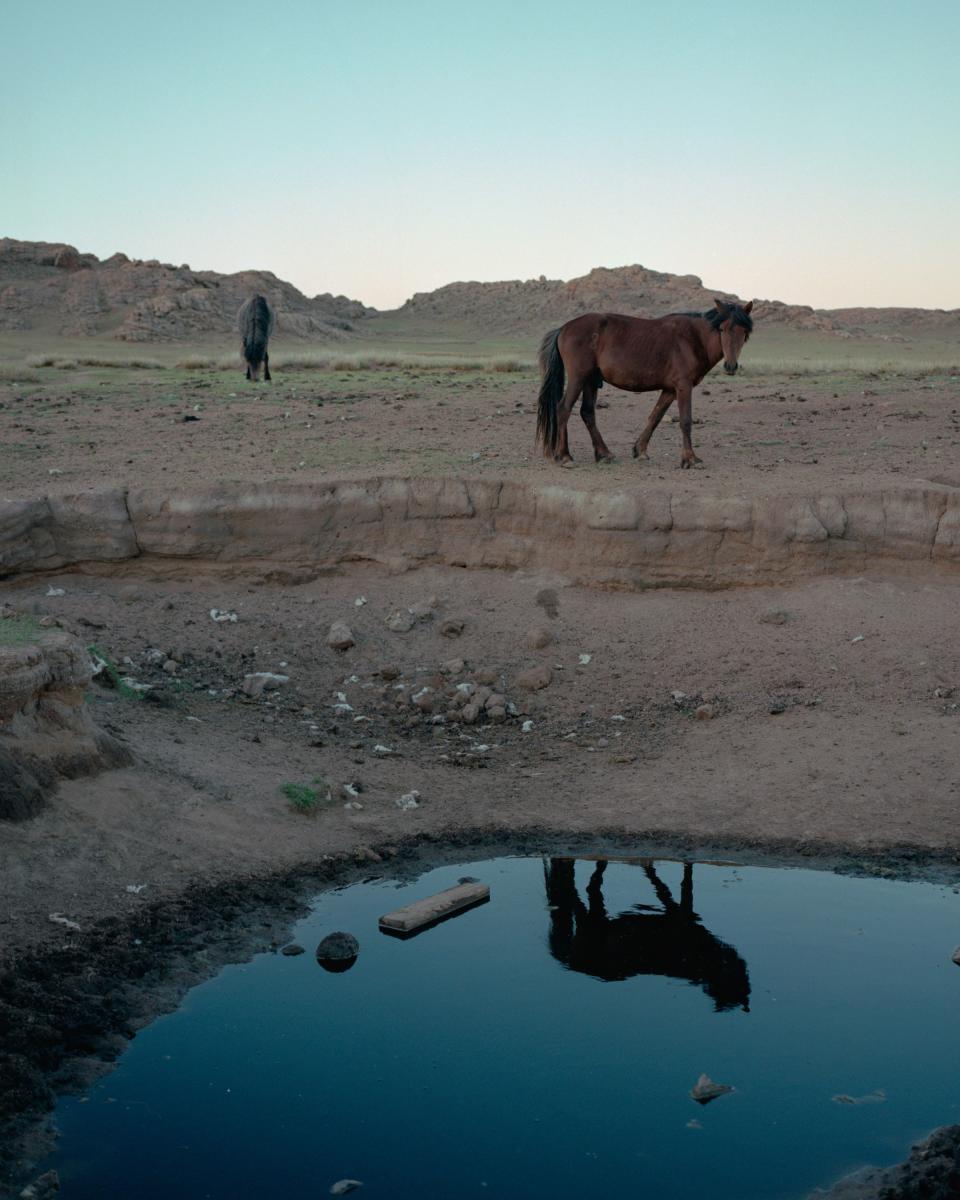 “When my friends and I switch our conversation to English, old people on public transportation look at us funny,” 20-year-old Aldar says. “But they just don’t understand. Memes are too hard to translate into Mongolian.”