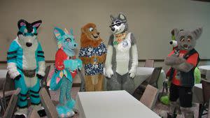 This Local Company Has Chicago-Area Furries Covered
