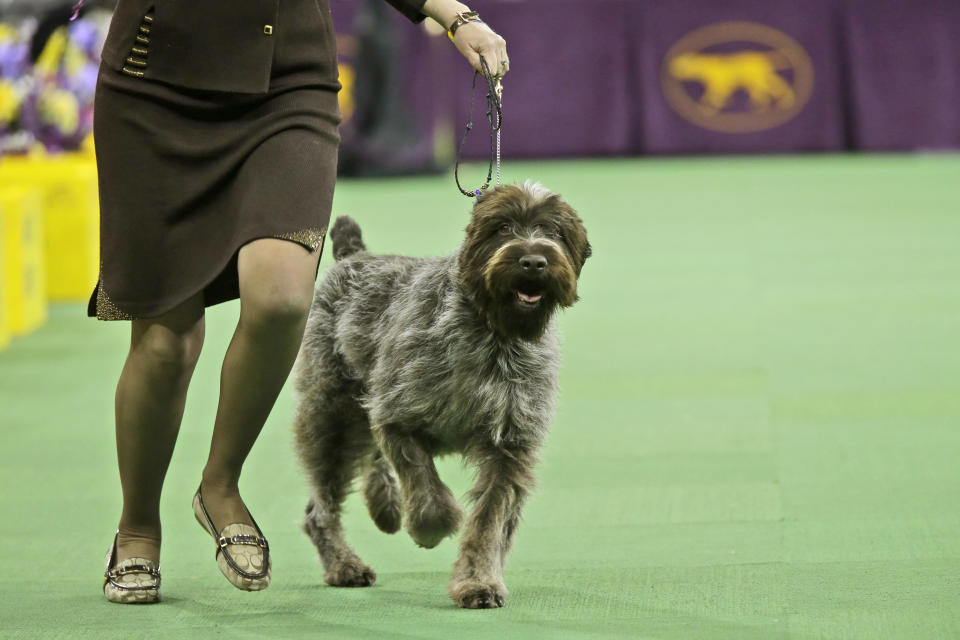 (AP Photo/Mary Altaffer)