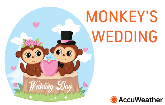 Wacky Weather Words: Monkey's Wedding
