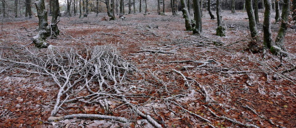 Les premières neiges dans l'Hérault (photo d'illustration).
