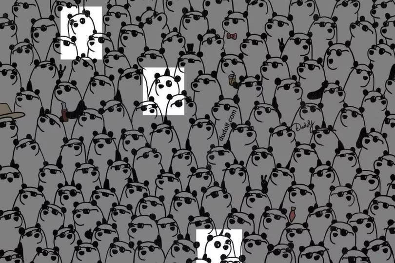 Panda Puzzle.