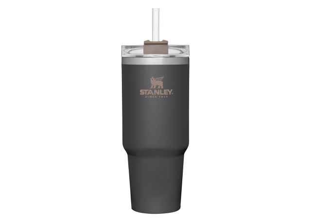 Stella Piscis Insulated Water Bottle With Flip 'N' Sip Lid in 2023