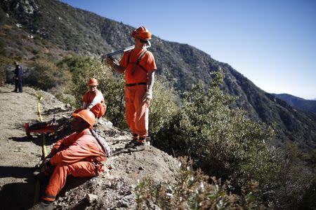 Prison inmates lay water pipe on a work project outside Oak Glen Conservation Fire Camp #35 in Yucaipa, California November 6, 2014. REUTERS/Lucy Nicholson