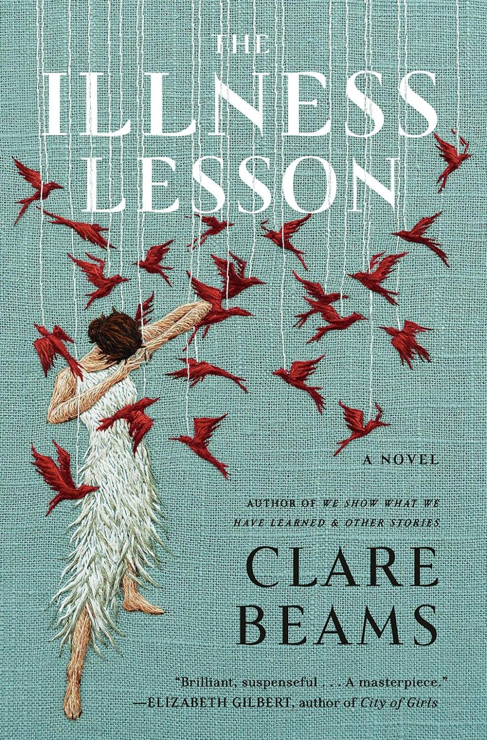 The Illness Lesson , by Clare Beams 