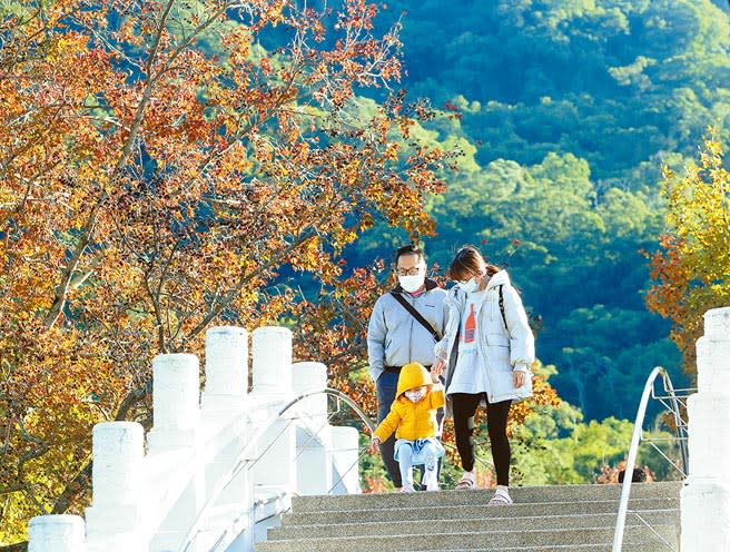 東北季風減弱，19日氣溫逐漸回溫，20日受到南方水氣及颱風外圍環流影響，未來3天（12/20-12/22）全台都會有雨，民眾趁著陽光普照至桃園慈湖紀念雕塑公園踏青，享受假日午後歡樂時光。（陳怡誠攝）