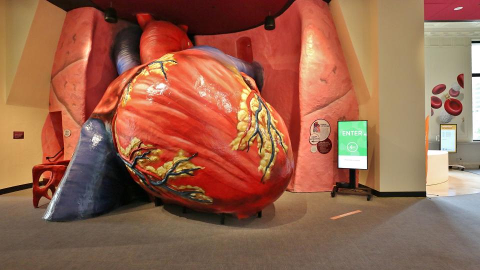 In 2020, The Franklin Instituted completed a renovation of its popular beating human heart exhibit that visitors can walk through to explore its interior chambers. (Credit: Courtesy of the Franklin Institute)