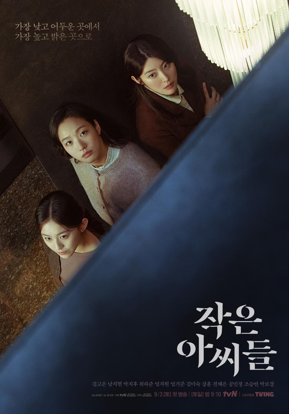 （圖源：tvN《小女子》官方海報）