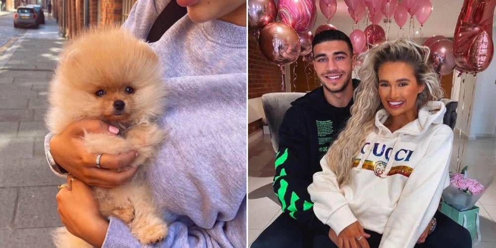 Photo credit: Instagram/Molly-Mae Hague + Tommy Fury 