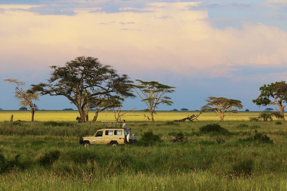 Serengeti National Park in Tanzania