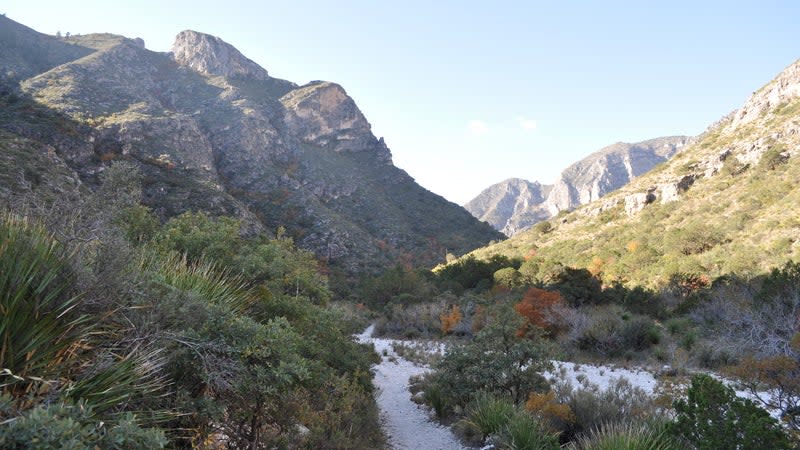 (<a href="https://commons.wikimedia.org/wiki/File:McKittrick_Canyon_Trail.JPG" rel="nofollow noopener" target="_blank" data-ylk="slk:Fredlyfish4;elm:context_link;itc:0;sec:content-canvas" class="link ">Fredlyfish4</a>/<a href="https://commons.wikimedia.org/wiki/Main_Page" rel="nofollow noopener" target="_blank" data-ylk="slk:Wikimedia Commons;elm:context_link;itc:0;sec:content-canvas" class="link ">Wikimedia Commons</a>/<a href="https://creativecommons.org/licenses/by-sa/3.0/deed.en" rel="nofollow noopener" target="_blank" data-ylk="slk:Creative Commons;elm:context_link;itc:0;sec:content-canvas" class="link ">Creative Commons</a>)