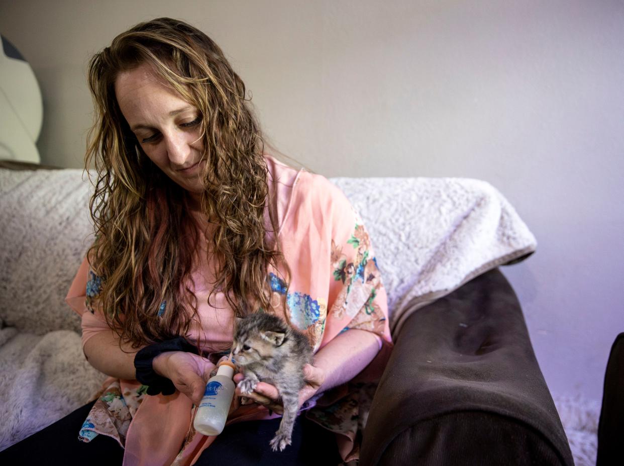 Knikki Ledford-Swartwout with Neonatal Kitten Rescue of the PNW feeds a three-week-old kitten.