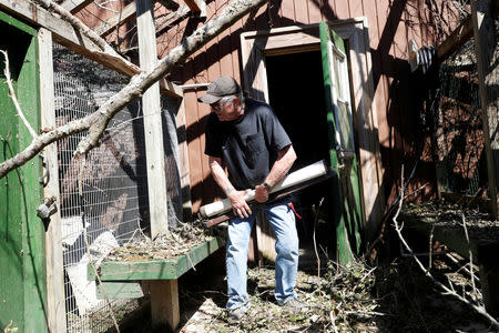 FILE PHOTO: Jim Broaddus, director of the Bear Creek Feline Center, checks on cats at in the aftermath of Hurricane Michael at the Feline Center in Panama City, Florida, U.S. October 12, 2018. REUTERS/Terray Sylvester/File Photo