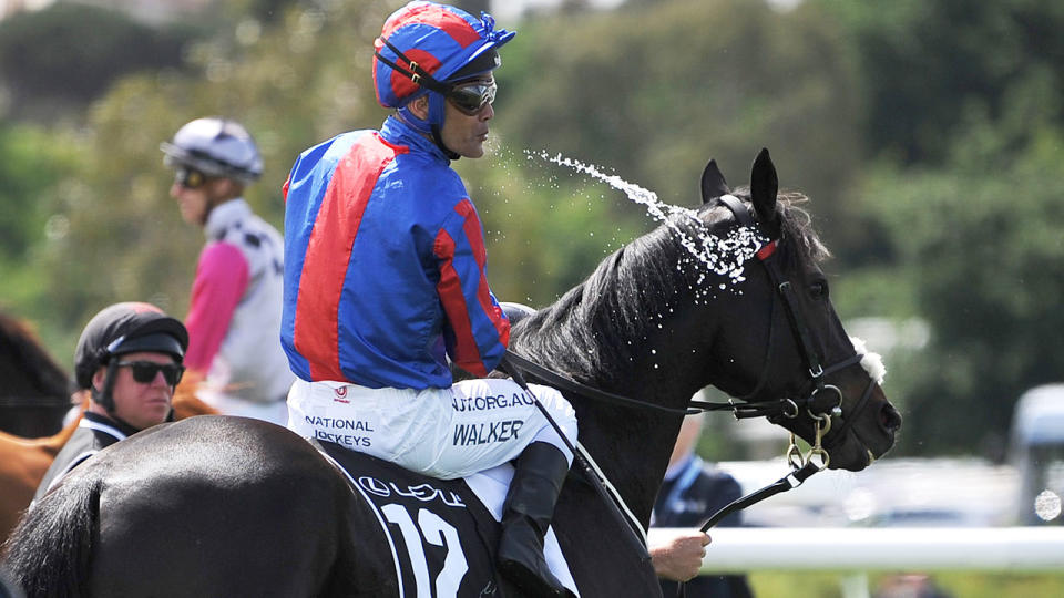 Jockey Michael Walker's excessive use of the whip saw him cop a huge penalty.