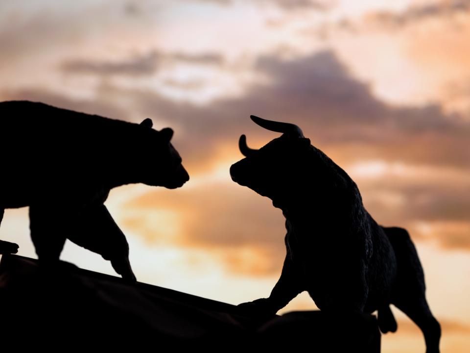 Bull and bear market