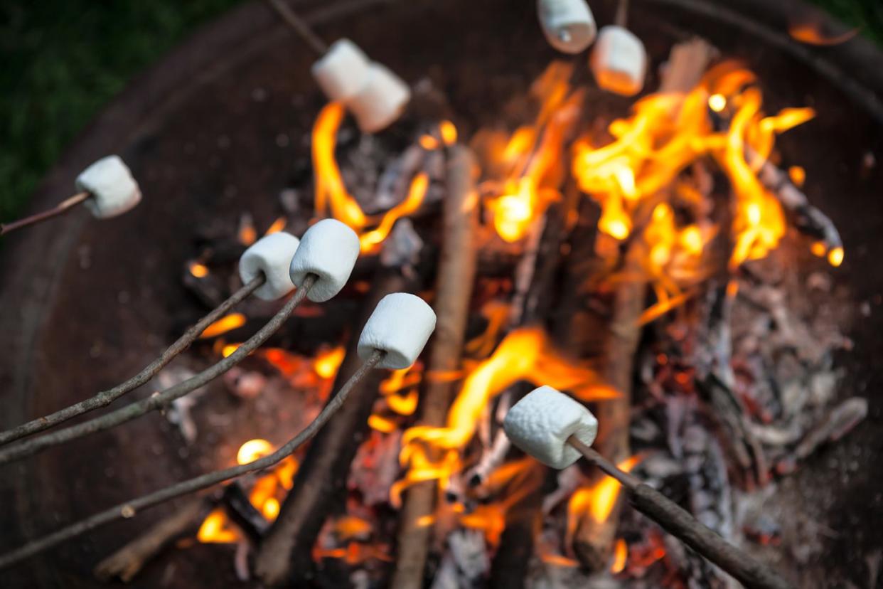 marshmallows on sticks being roasted over an open camp fire