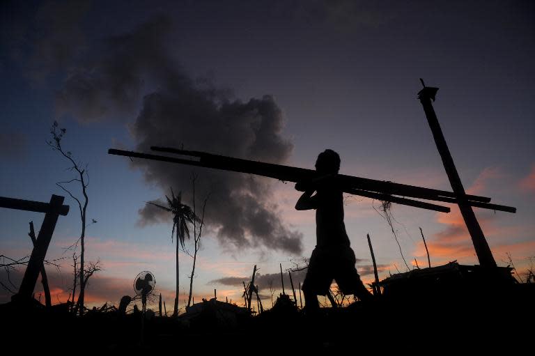 A man collects wood to construct a house in Palo, Leyte province, central Philippines, in November 24, 2013